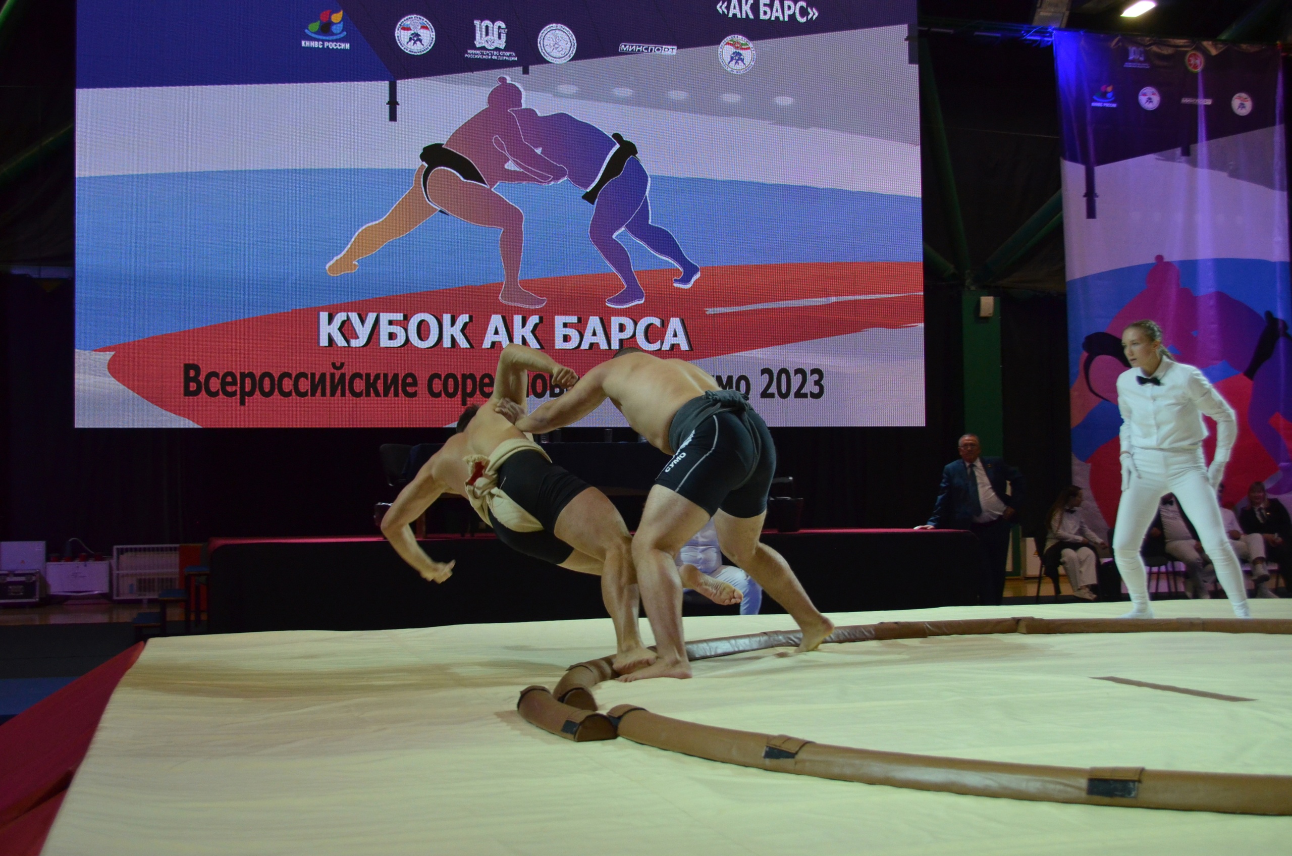 Лучшие сумоисты России встретятся в Казани