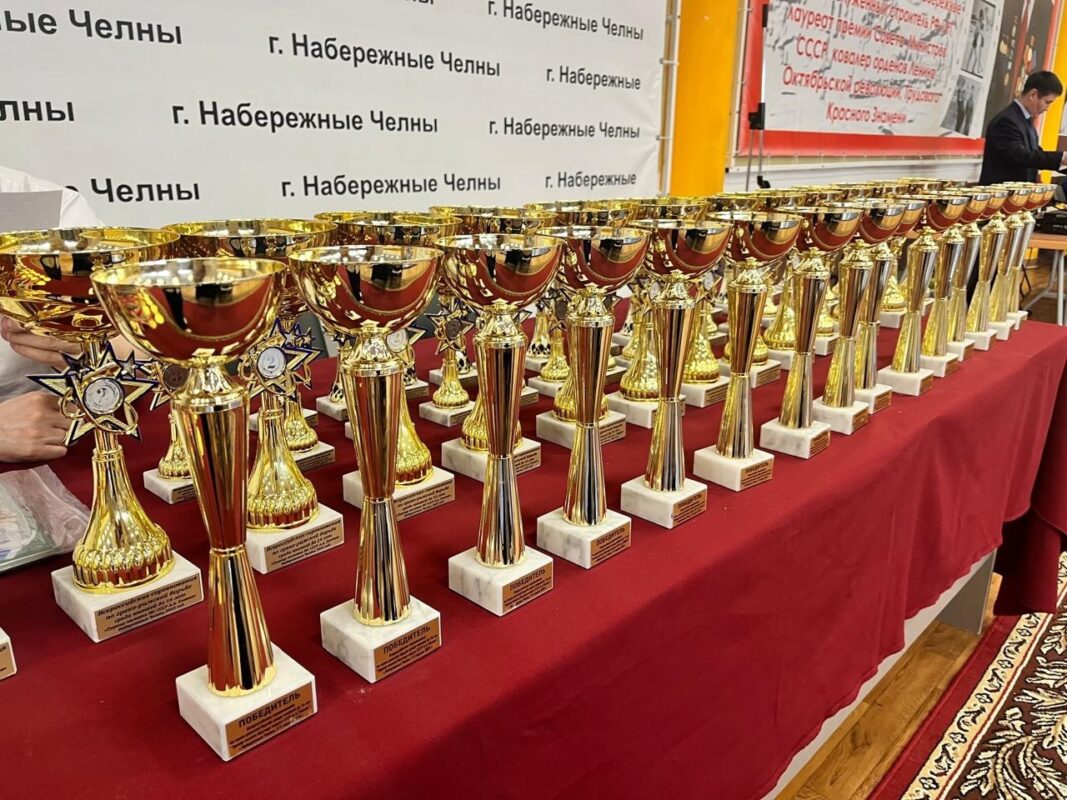 Борцы из Татарстана на высоте