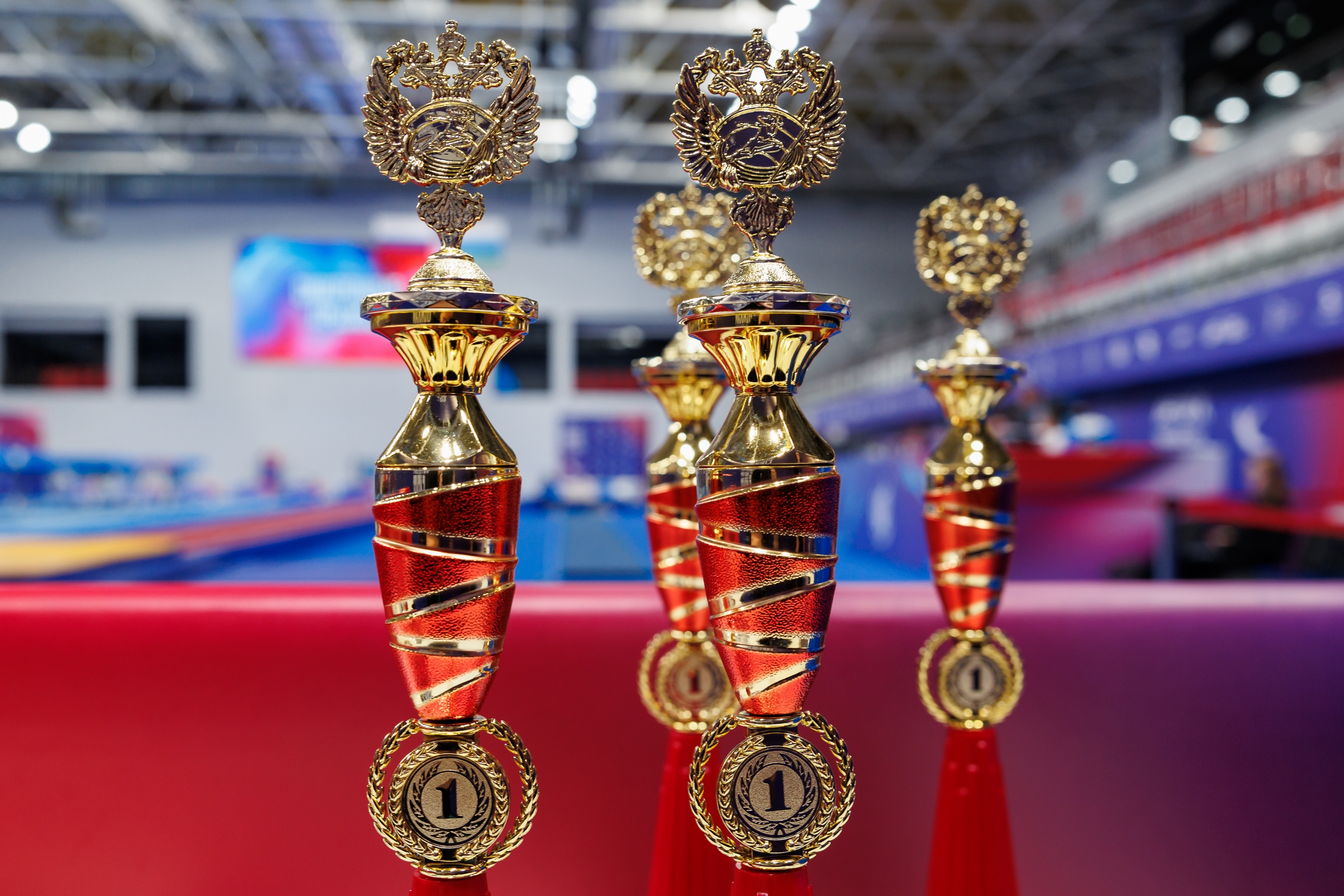Чемпионат России по прыжкам на батуте: итоги